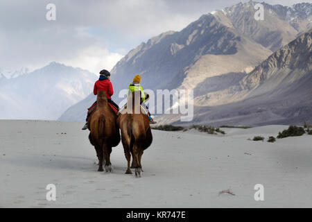 Madre e figlio in sella a doppia gobba cammelli e attraversando il deserto nella Valle di Nubra, Ladakh, Jammu e Kashmir India Foto Stock