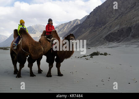 Madre e figlio in sella a doppia gobba cammelli e attraversando il deserto nella Valle di Nubra, Ladakh, Jammu e Kashmir India Foto Stock