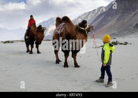 Madre e figlio in sella a doppia gobba cammelli e attraversando il deserto nella Valle di Nubra, Ladakh, Jammu e Kashmir India Foto Stock