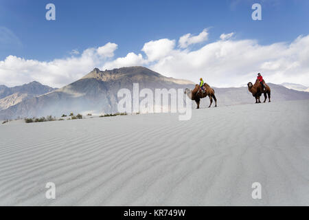 Madre e figlio in sella a doppia gobba cammelli e attraversando il deserto nella Valle di Nubra, Ladakh, Jammu e Kashmir India Foto Stock