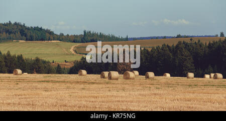 Campo raccolte con le balle di paglia in estate Foto Stock