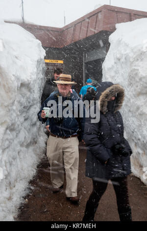 Passaggio per il turista in casa del vertice durante l inaspettata tempesta di neve in maggio, Pikes Peak , Colorado , Stati Uniti, Nord America, Regno Stat Foto Stock