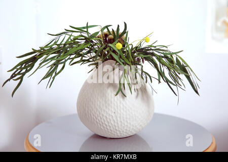 Graptopetalum Macdougallii, a piante succulente sotto Crassulaceace famiglia. Le due piante succulente in bianco round vasi di ceramica. Base incandescente e backg bianco Foto Stock