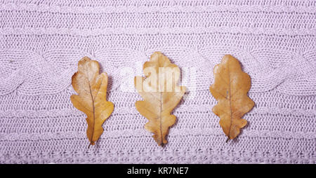 Autunno Maglioni lavorati a maglia e foglie Foto Stock
