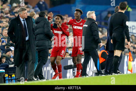 Swansea City's Leroy Fer (centro sinistra) punteggio celebra il suo lato del primo obiettivo del gioco con il compagno di squadra Swansea City's Tammy Abramo (centro destra) durante il match di Premier League a Goodison Park di Liverpool. Foto Stock