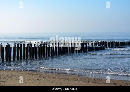 Travi sopra la spiaggia di Domburg Zeeland, Olanda sul Mare del Nord Foto Stock