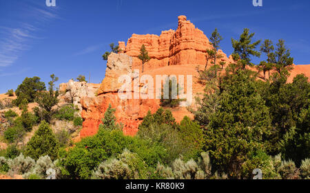 Red rock formazione in Cedar Breaks National Park nello Utah Foto Stock