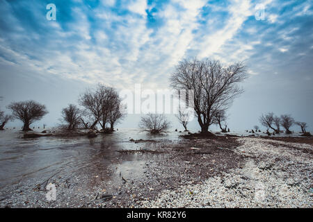 Luxi paesaggio delle paludi di Chaohu,Anhui Provincia,Cina Foto Stock
