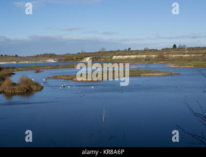 College Lago, Tring, Herts Foto Stock