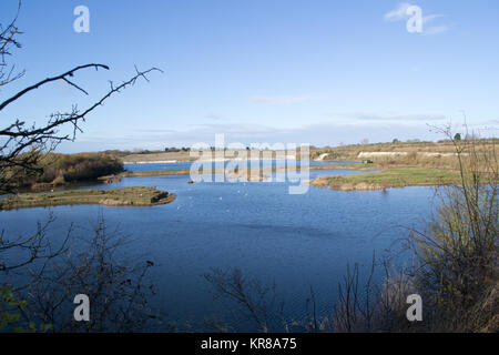 College Lago, Tring, Herts Foto Stock