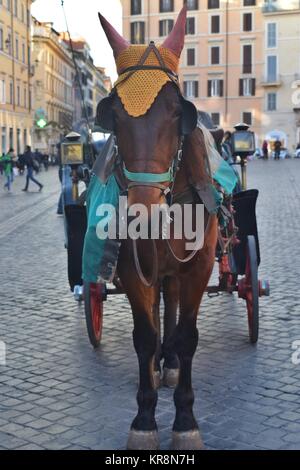 Cavallo di un carrello in Piazza di Spagna a Roma Foto Stock