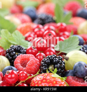 Bacche Fragole Lamponi Mirtilli frutti di bosco copia lascia spazio Foto Stock