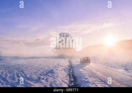 Silhouette di auto attraverso la nebbia su un inverno mattina Foto Stock