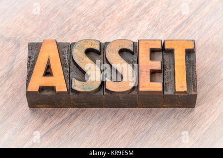 Parola di asset abstract in rilievografia vintage tipo legno blocchi di stampa Foto Stock