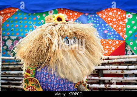 La bambola divertente: la figura dell'uomo nella HAT. Foto Stock