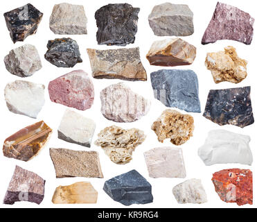 Collezione di rocce sedimentarie esemplari Foto Stock