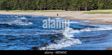 Mar Baltico (Svezia) il 01 agosto 2017. Lonely donna su una mattina a piedi lungo una spiaggia. Signora non identificato sulla riva. Editoriale Foto Stock