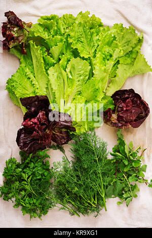 Assortimento di verdure ed erbe verdi. Mercato. Lay piatto. Vista superiore Foto Stock