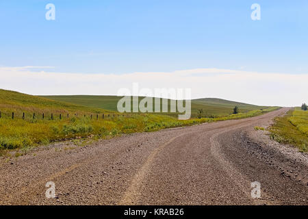 Una strada di ghiaia attraverso Alberta terreni coltivati e colline. Foto Stock