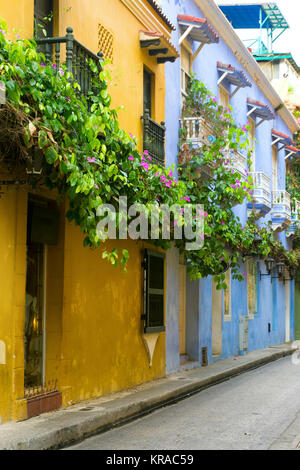 Fiori e architettura coloniale Foto Stock