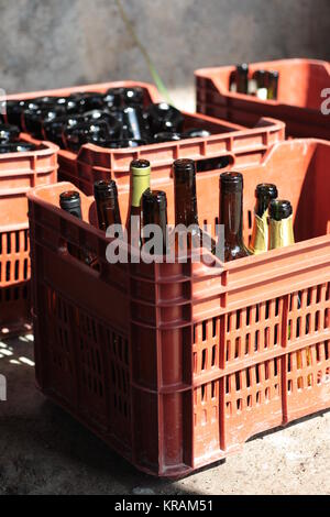 Il vino rosso di scatole con bottiglie all'interno. Home vinificazione attrezzature di vinificazione. Foto Stock