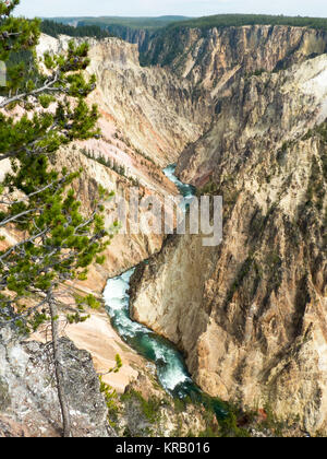 Yellowstone NP, Wyoming: Canyon di Yellowstone dal North Rim Drive Foto Stock
