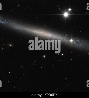 Come trovare un argento ago nel pagliaio dello spazio, la NASA/ESA Telescopio Spaziale Hubble ha realizzato questa bella immagine della galassia a spirale IC 2233, una delle galassie più piatta noto. Tipiche le galassie a spirale come la Via Lattea sono di solito costituiti da tre principali componenti visibili: il disco dove i bracci della spirale e la maggior parte dei gas e polvere è concentrata; l'alone, una ruvida e sfera sparse intorno al disco che contiene poca gas, polvere o formazione stellare; e il rigonfiamento centrale nel cuore del disco, che è formato da una grande concentrazione di antiche stelle che circondano il Galact Foto Stock