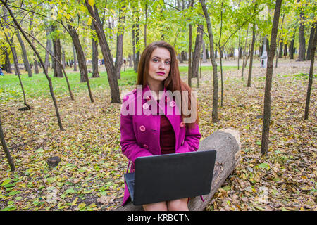 Bella donna e di lavoro per la scrittura di lettere su laptop in autunno park. Autunno passiva e molte foglie colorate Foto Stock