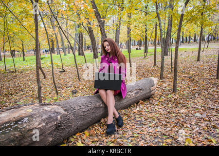 Bella donna e di lavoro per la scrittura di lettere su laptop in autunno park. Una donna che controlli la posta sul computer portatile. Autunno passiva e molte foglie colorate Foto Stock