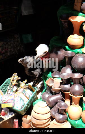 Lama feto a le streghe il Mercato di La Paz in Bolivia Foto Stock