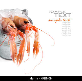 Materie scampi su ghiaccio in una benna Foto Stock