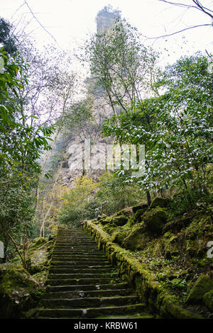 Percorso di scale in Zhangjiajie National Park Foto Stock