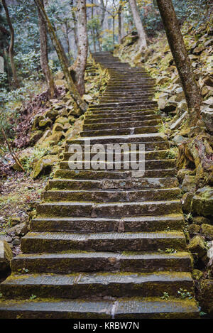 Percorso di scale in Zhangjiajie National Park Foto Stock