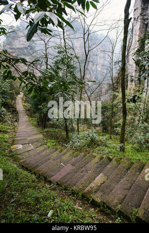 Percorso di scale in Zhangjiajie National Park Foto Stock