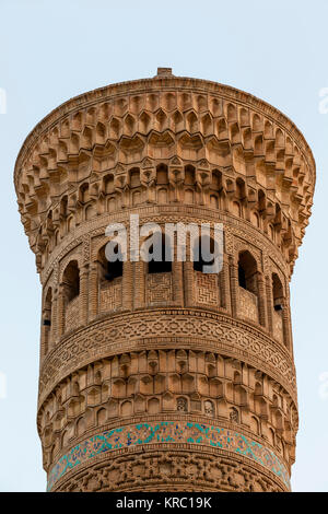 Il Minareto Kalyon, Bukhara, Uzbekistan Foto Stock