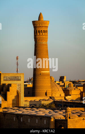 Il Minareto Kalyon, Bukhara, Uzbekistan Foto Stock