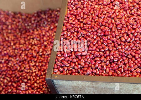 Fagioli rossi materie nella scatola di legno pronti a vendere sul mercato. cereali organici alimentari, chiamate giapponese di Adzuki o fagioli azuki Foto Stock
