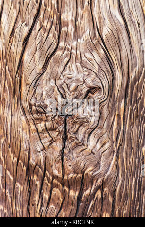 Texture di legno dello sfondo. Foto Stock