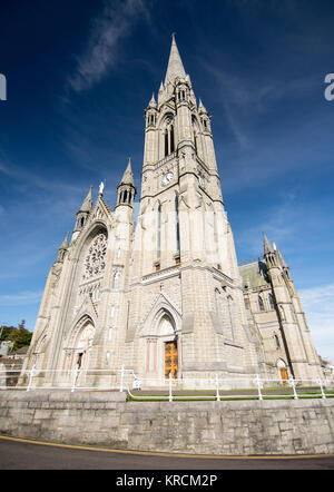 Cork, Irlanda - 15 Settembre 2016: pomeriggio sole illumina la parte esterna di St Colman's Cathedral nella piccola città turistica di Cobh sulla costa sud di Foto Stock