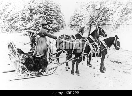 Slitta trainata da cavalli - Troika russa Foto Stock