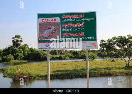 Segnaletica di pericolo in tre lingue di avvertimento attenzione al pericolo di coccodrilli, Pasikudah Bay, Provincia Orientale, Sri Lanka, Asia Foto Stock
