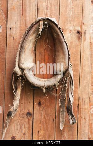 Appendere il vecchio cablaggio del cavallo 1 Foto Stock