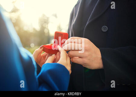 Proposta di matrimonio. Foto Stock