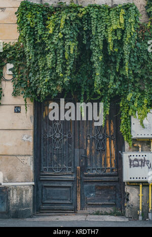 La vecchia porta con vegetazione a Bucarest, in Romania. Foto Stock