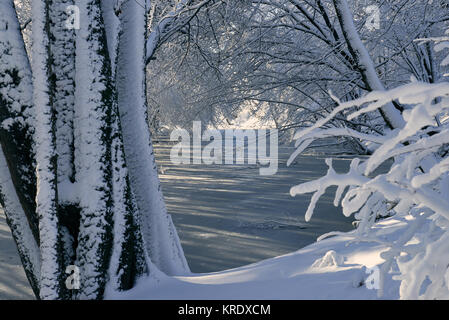 Il fiume Nashwaak in Fredericton fotografati dopo una forte tempesta di neve, con luce dorata di mattina Foto Stock