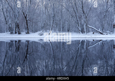 Il fiume Nashwaak in Fredericton fotografati dopo una forte tempesta di neve, con luce dorata di mattina Foto Stock