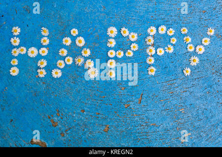 La parola scritta felice di daisy fiori su sfondo blu Foto Stock