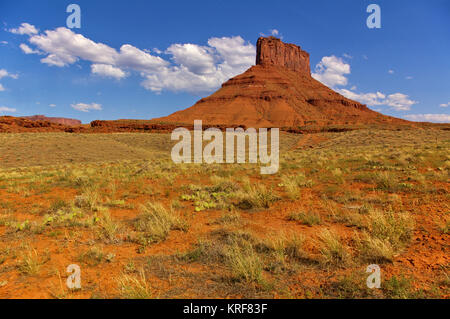 Alto edificio rosso mesa con piante del deserto in primo piano e cielo blu chiaro, Utah, Stati Uniti d'America Foto Stock