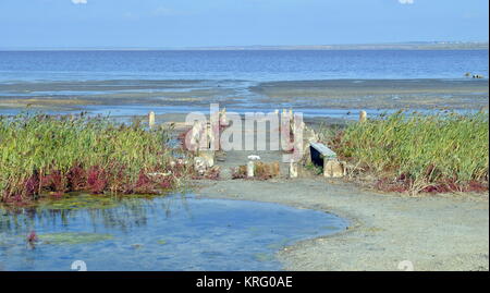 Asciugare lago morto con un raro fango di meraviglia Foto Stock