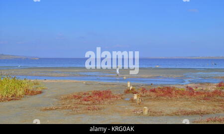 Asciugare lago morto con un raro fango di meraviglia Foto Stock